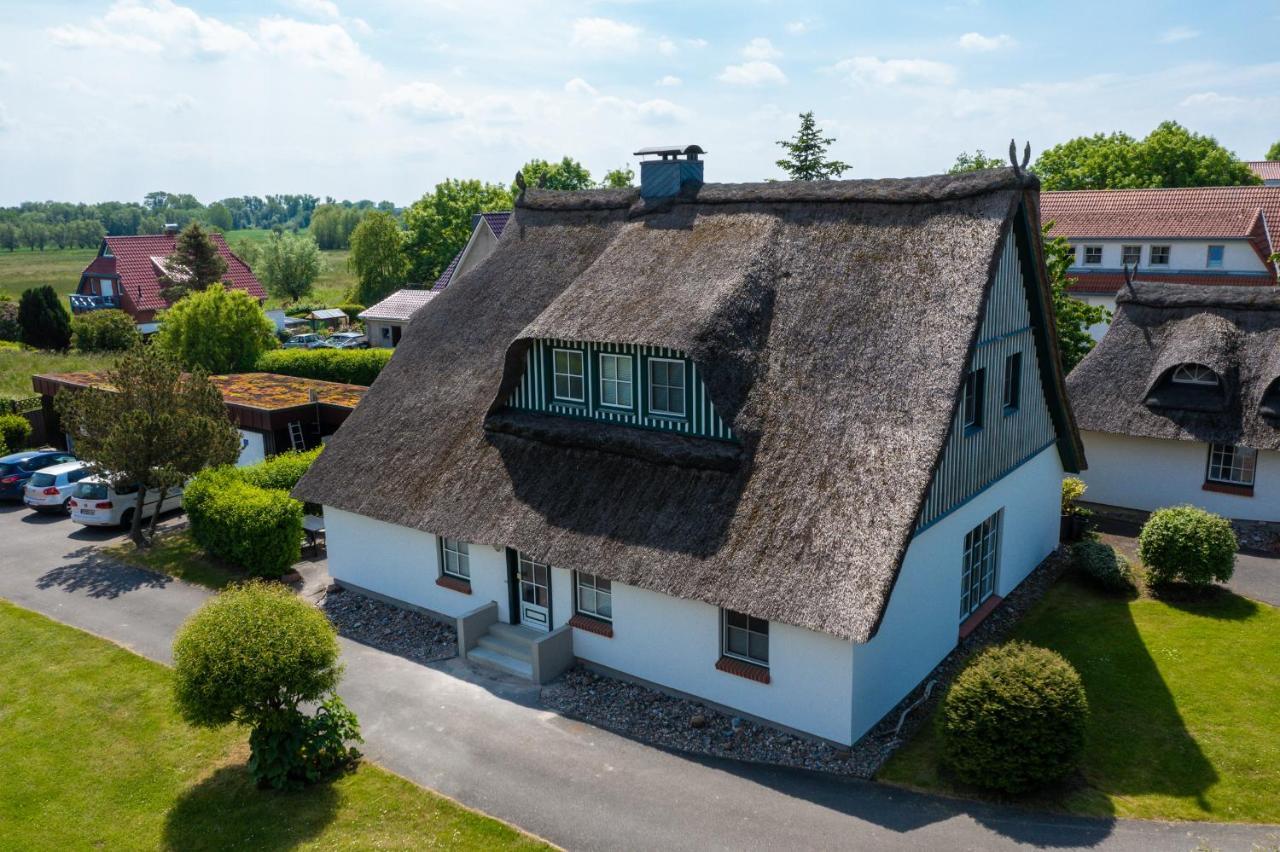 An Der Steilkueste Wohnung 03 Boltenhagen  Buitenkant foto